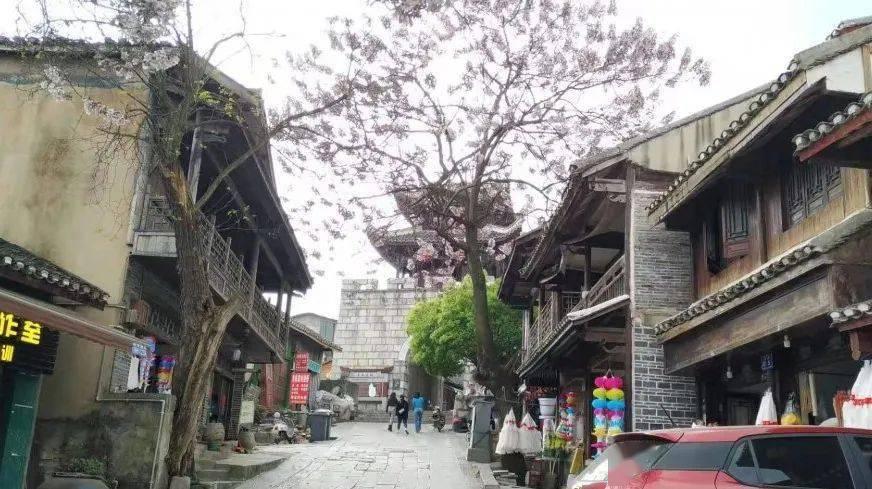 探探猫之飞刀大师